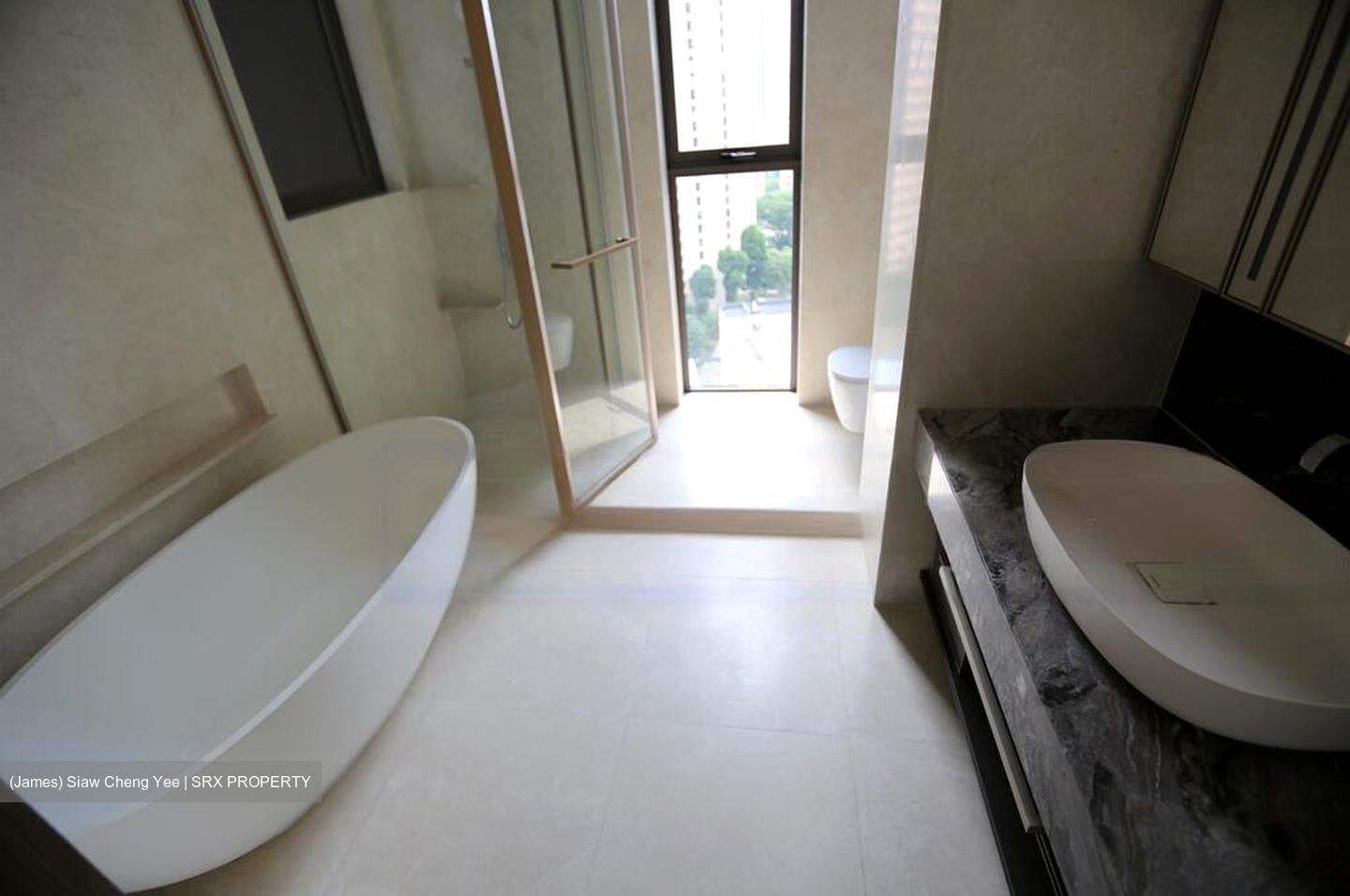 The Avenir (D9), Condominium #458746471